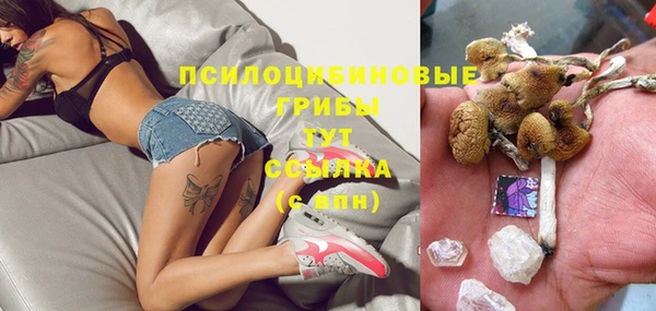 соль ск Бугульма