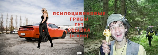 соль ск Бугульма
