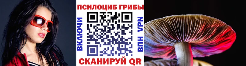 это официальный сайт Одинцово Псилоцибиновые грибы Psilocybine cubensis